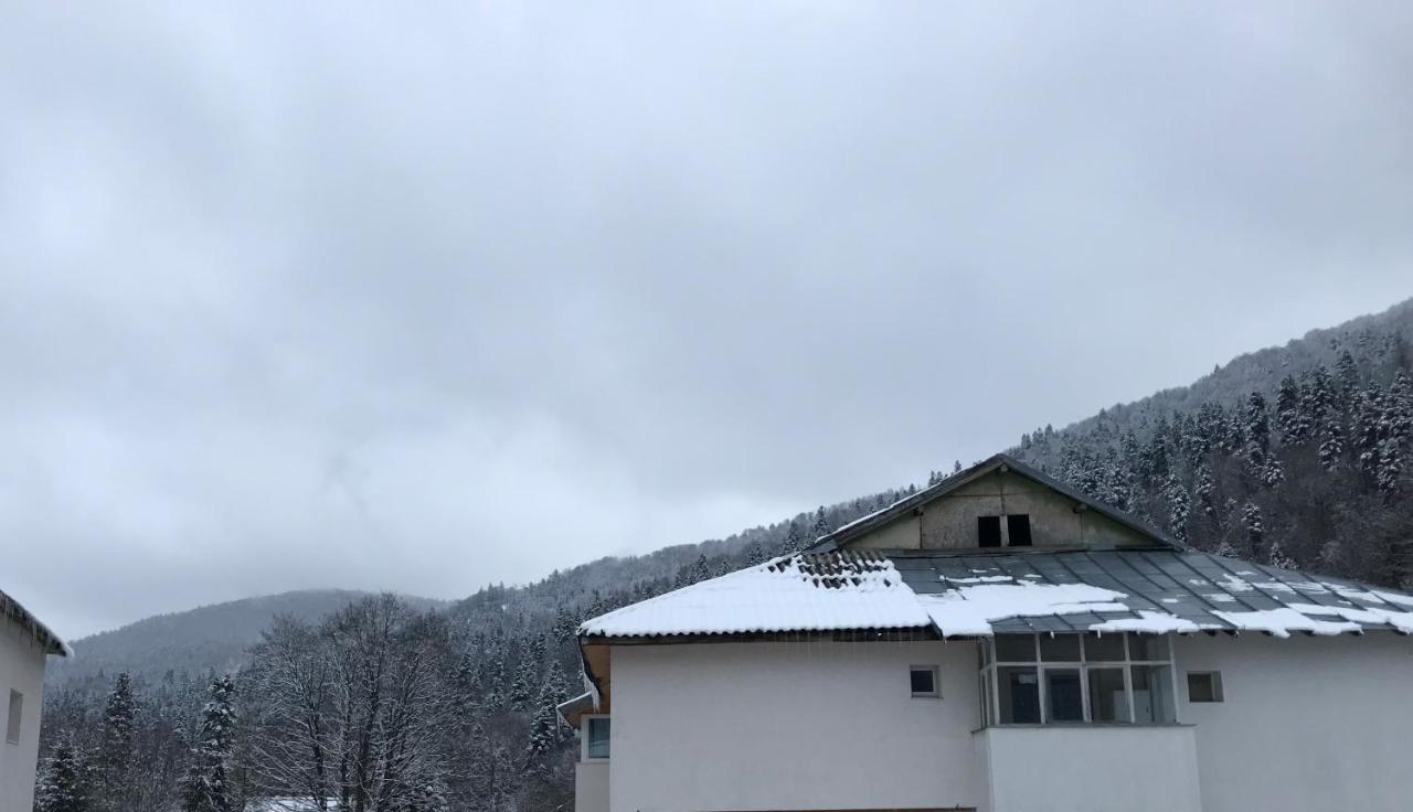 Cocooning In A Lovely Mountain Suite - One Azuga Eksteriør bilde